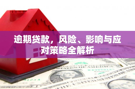 陵城逾期贷款，风险、影响与应对策略全解析