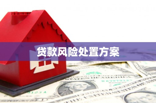 陵城贷款风险处置方案