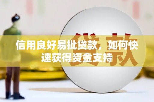 陵城信用良好易批贷款，如何快速获得资金支持