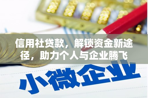 陵城信用社贷款，解锁资金新途径，助力个人与企业腾飞