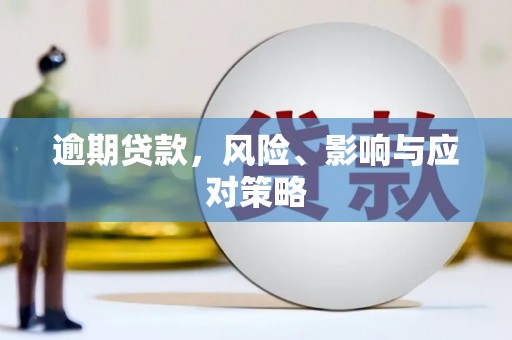 陵城逾期贷款，风险、影响与应对策略