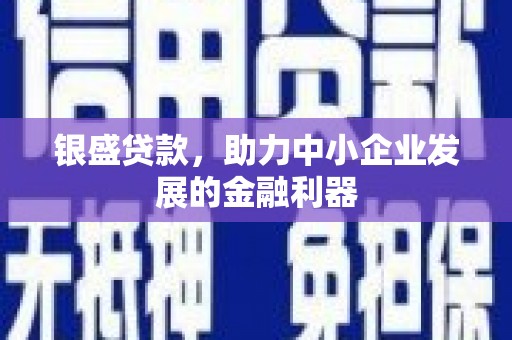陵城银盛贷款，助力中小企业发展的金融利器
