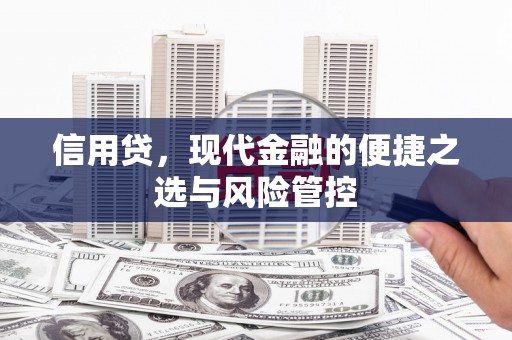 陵城信用贷，现代金融的便捷之选与风险管控