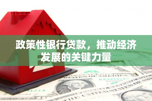 陵城政策性银行贷款，推动经济发展的关键力量