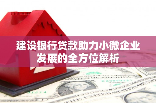 陵城建设银行贷款助力小微企业发展的全方位解析