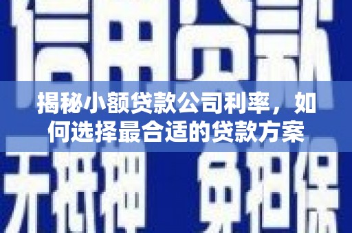 陵城揭秘小额贷款公司利率，如何选择最合适的贷款方案