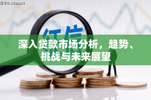 陵城深入贷款市场分析，趋势、挑战与未来展望