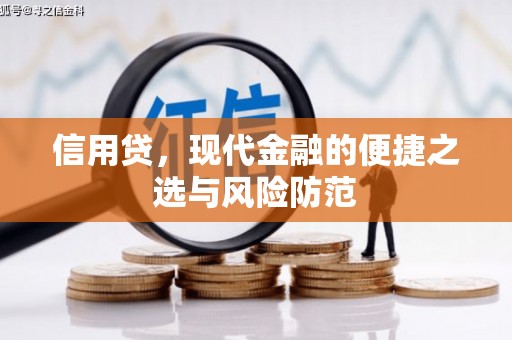 陵城信用贷，现代金融的便捷之选与风险防范