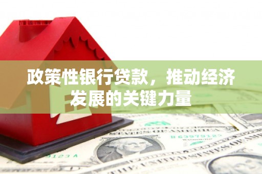 陵城政策性银行贷款，推动经济发展的关键力量