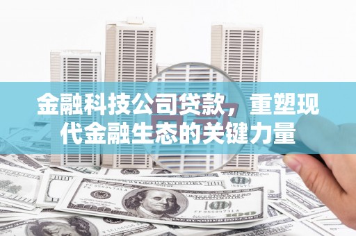 陵城金融科技公司贷款，重塑现代金融生态的关键力量