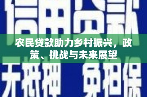 陵城农民贷款助力乡村振兴，政策、挑战与未来展望
