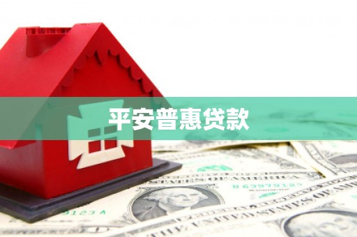 陵城平安普惠贷款