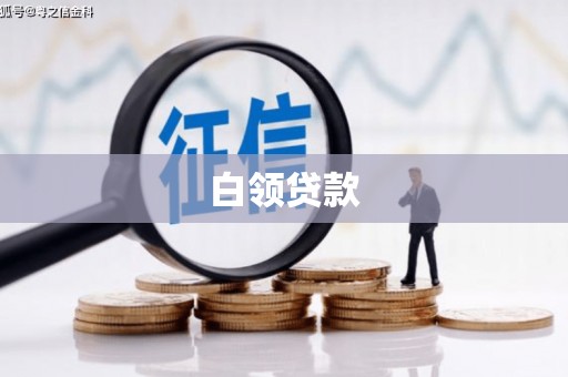 陵城白领贷款