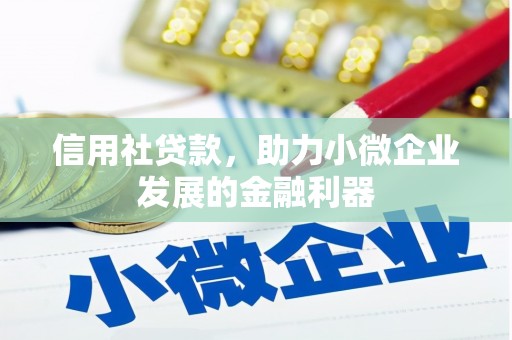 陵城信用社贷款，助力小微企业发展的金融利器