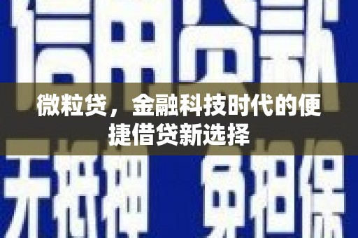 陵城微粒贷，金融科技时代的便捷借贷新选择