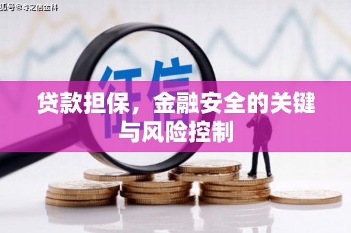 陵城贷款担保，金融安全的关键与风险控制