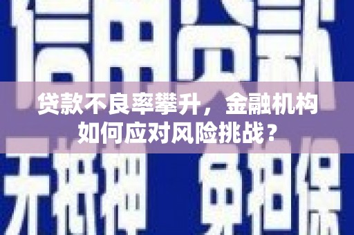 陵城贷款不良率攀升，金融机构如何应对风险挑战？