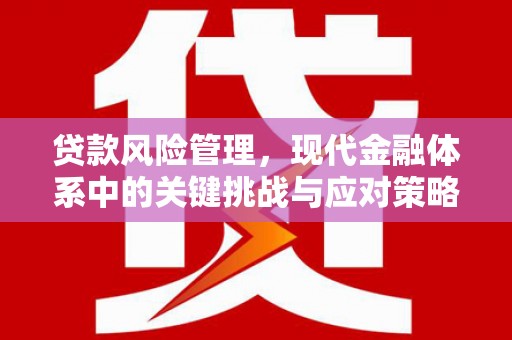 陵城贷款风险管理，现代金融体系中的关键挑战与应对策略