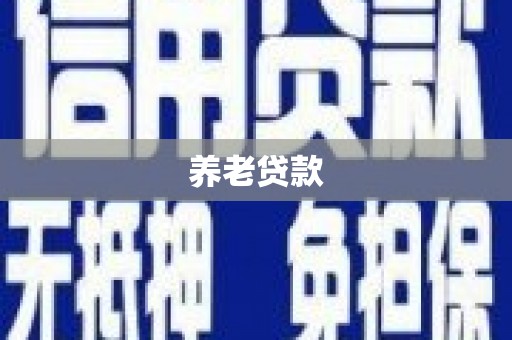 陵城养老贷款