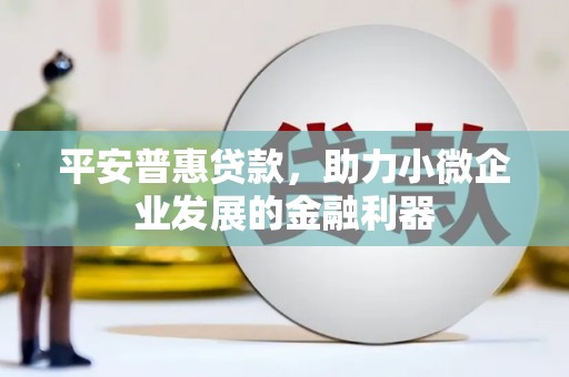陵城平安普惠贷款，助力小微企业发展的金融利器