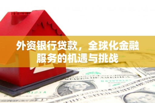 陵城外资银行贷款，全球化金融服务的机遇与挑战