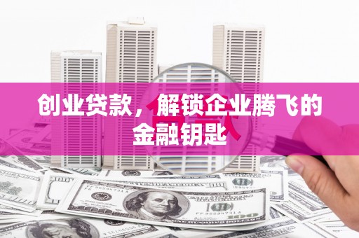 陵城创业贷款，解锁企业腾飞的金融钥匙
