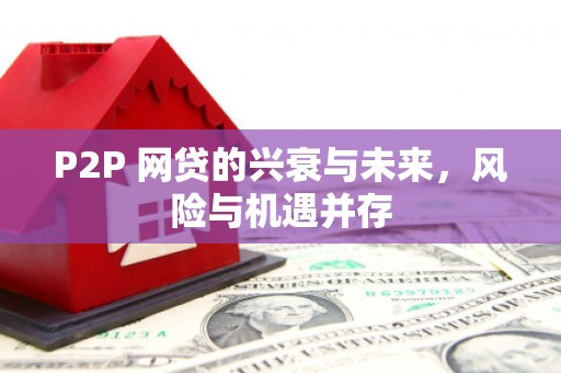 陵城P2P 网贷的兴衰与未来，风险与机遇并存
