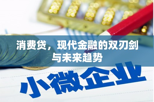 陵城消费贷，现代金融的双刃剑与未来趋势