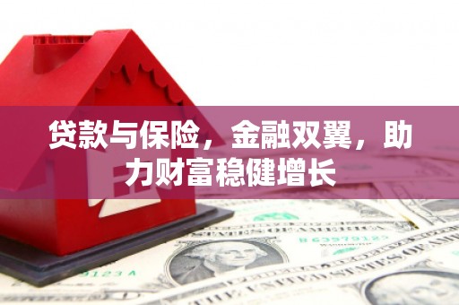 陵城贷款与保险，金融双翼，助力财富稳健增长