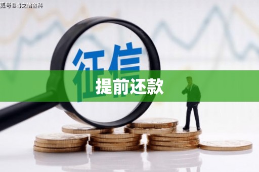 陵城提前还款