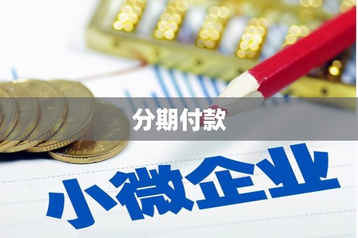 陵城分期付款