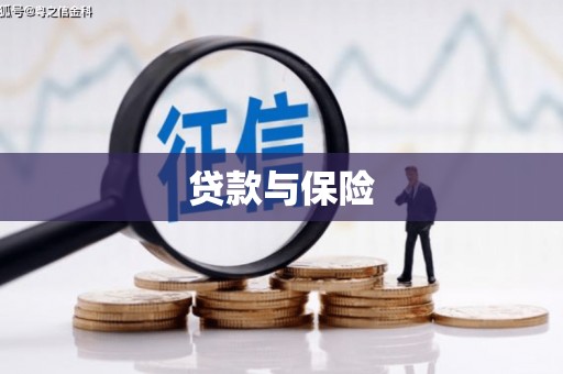 陵城贷款与保险
