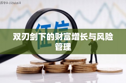 陵城双刃剑下的财富增长与风险管理