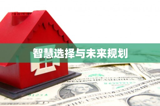 陵城智慧选择与未来规划