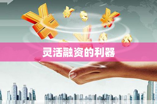 陵城灵活融资的利器