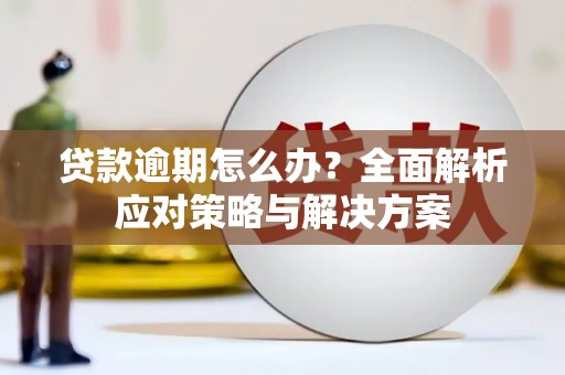 陵城贷款逾期怎么办？全面解析应对策略与解决方案