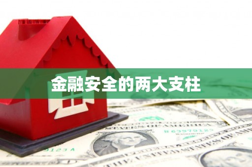 陵城金融安全的两大支柱