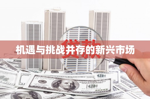 陵城机遇与挑战并存的新兴市场