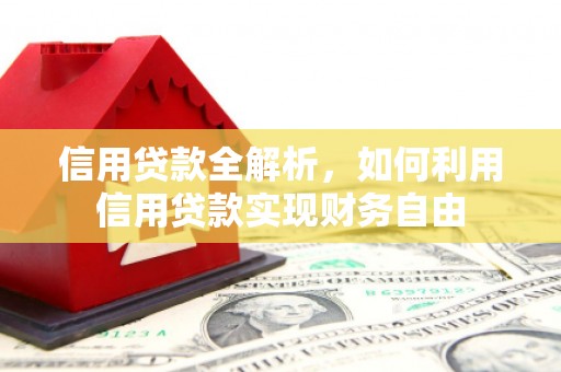 陵城信用贷款全解析，如何利用信用贷款实现财务自由