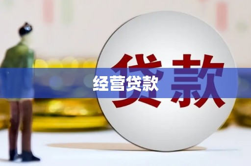 陵城经营贷款