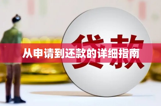 陵城从申请到还款的详细指南