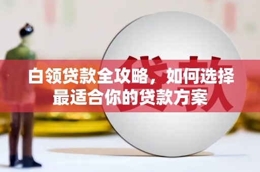 陵城白领贷款全攻略，如何选择最适合你的贷款方案