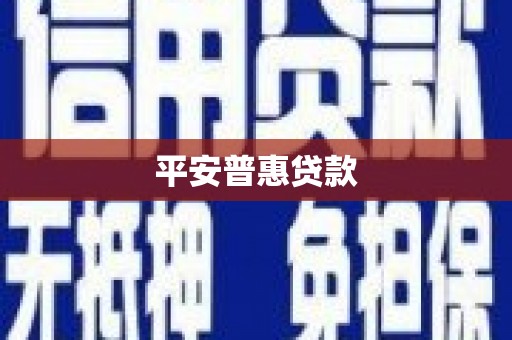陵城平安普惠贷款