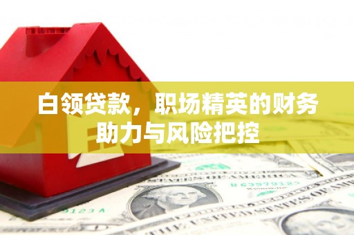 陵城白领贷款，职场精英的财务助力与风险把控